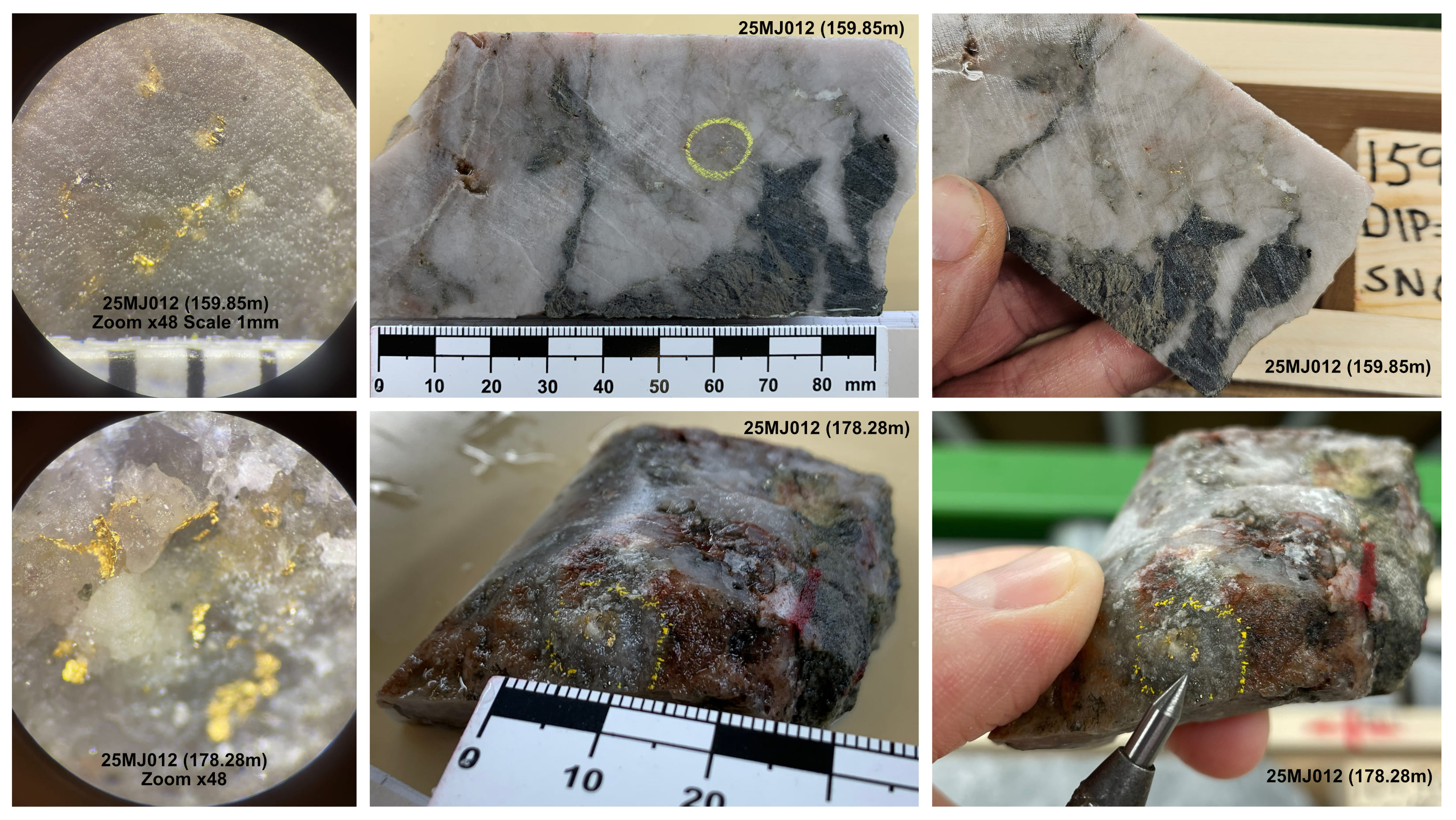 firefox gold news figure 25022026 02